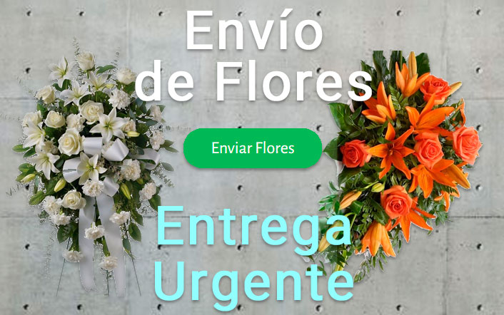 Envio flores difunto urgente a Tanatorio Huesca